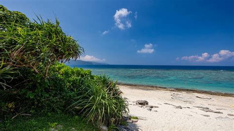 奄美大島 天気 1ヶ月 ～空と海の間に広がる気象の物語～