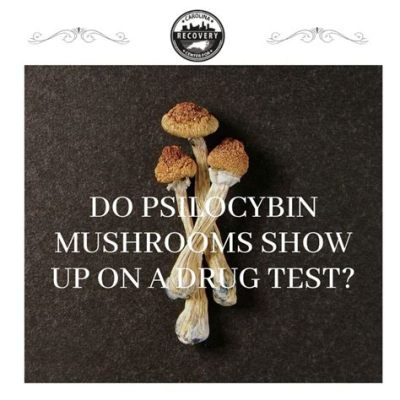 Can Mushrooms Show Up on a Drug Test? Exploring the Psychedelic and Nutritional Paradox