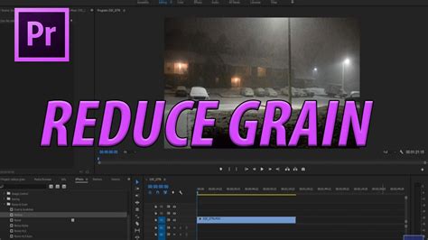 How to Reduce Grain in Premiere Pro: Exploring the Art of Visual Clarity and Beyond