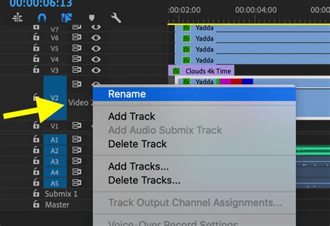 How to Rename a Sequence in Premiere Pro: A Journey Through the Digital Naming Cosmos