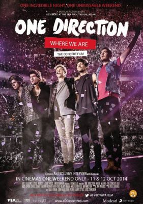 One Direction: Where We Are - The Concert Film: A Journey Through Time and Sound