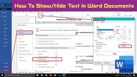 Where is Show/Hide in Word: Unraveling the Mysteries of Document Formatting